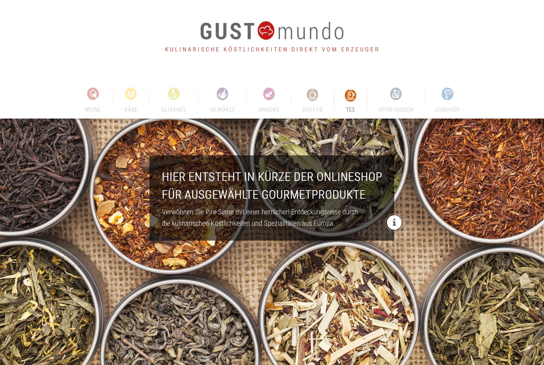 gustomundo.com